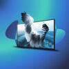 Panasonic LH-32AN9ND 32-Inch UHD Professional Display