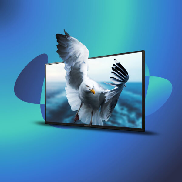 Panasonic LH-32AN9ND 32-Inch UHD Professional Display