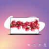 Panasonic LH-50AN9ND 50-Inch UHD Professional Display