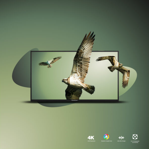 Panasonic LH-65AN9ND 65-Inch UHD Large-Format Professional Display