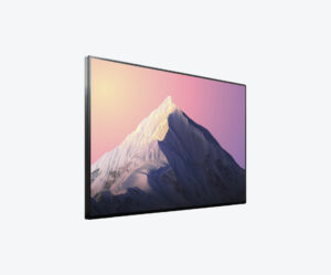 Panasonic LH-50AN9ND 50-Inch UHD Professional Display