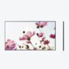 Samsung QB43C 43-Inch Crystal UHD Professional Signage Display