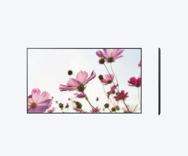 Samsung QB43C 43-Inch Crystal UHD Professional Signage Display