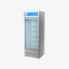 Blue Star VC275D Large Capacity Beverage Visicooler