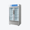 Blue Star VC590D Double Door High-Volume Visicooler